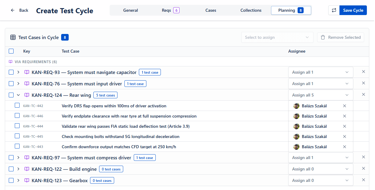 Execute requirement coverage, not "just testcases"